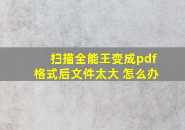 扫描全能王变成pdf格式后文件太大 怎么办